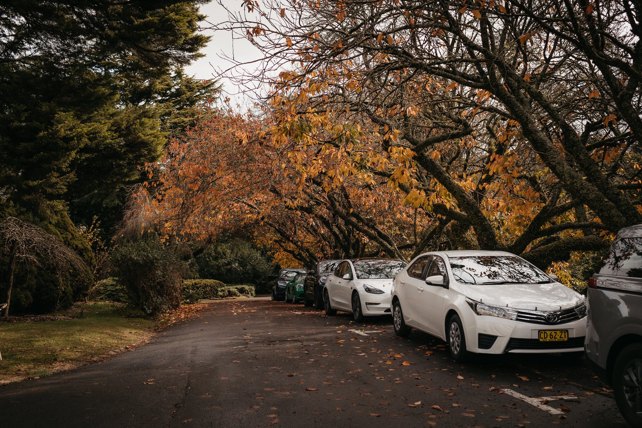 The Robertson Hotel Southern Highlands Fiona & Bobby Photography